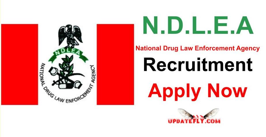 Ndlea Recruitment 2023 2024 Application Portal And How To Apply